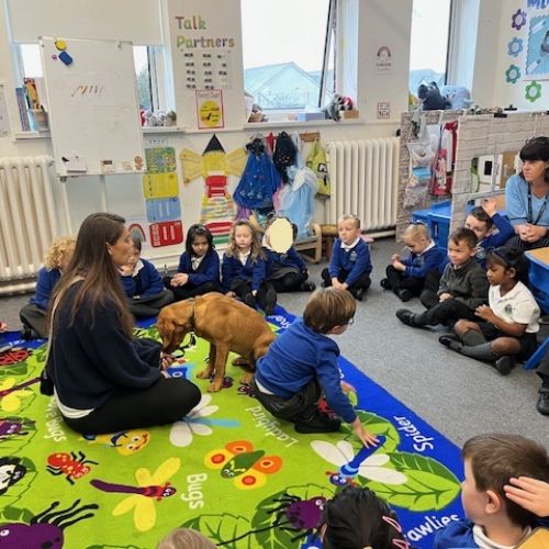 Pet Week